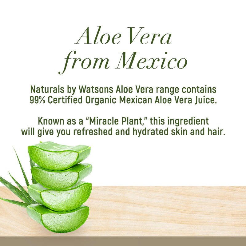 Natural by WS Aloe Vera Scalp tonic 120ml